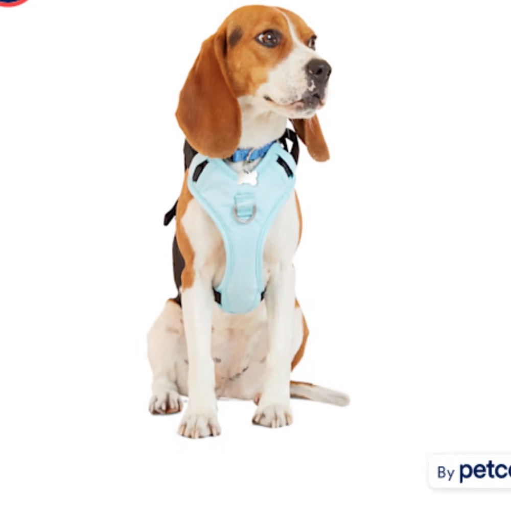EveryYay Teal Crash Test Dog Harness